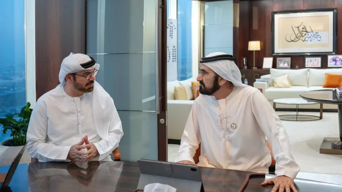 UAE government performance